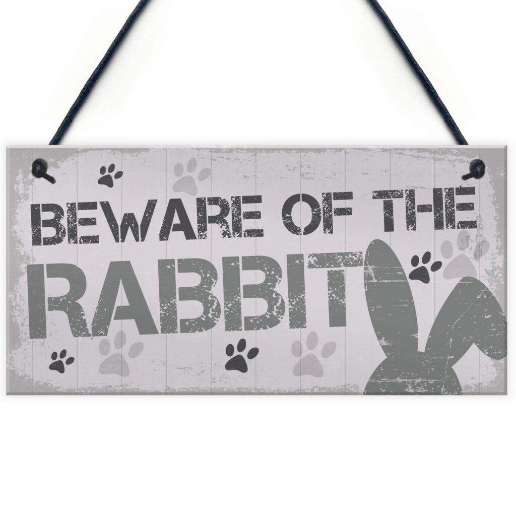 beware of the rabbit