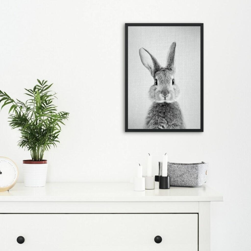 poster interieur konijn pip